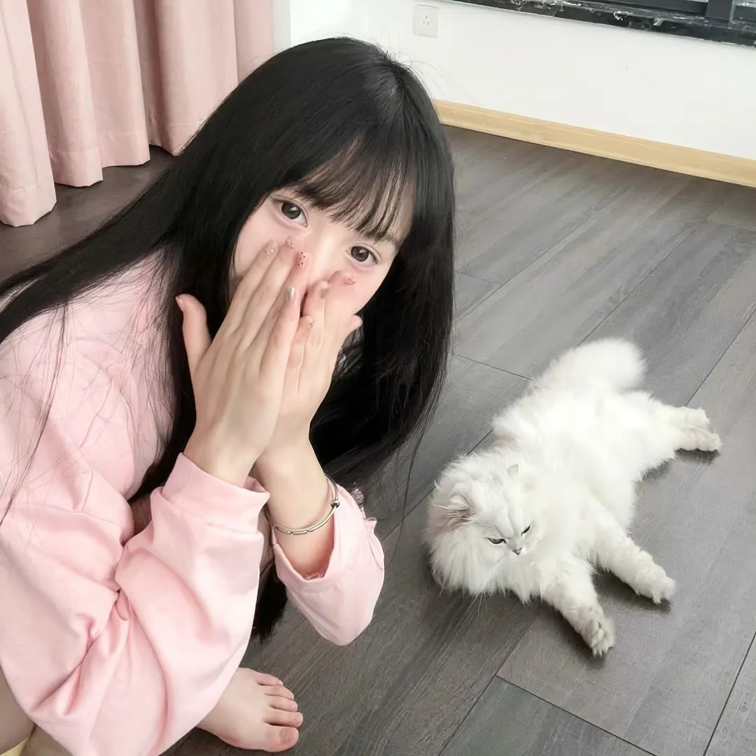 机器猛犬